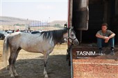 چهاردهمین جشنواره فرهنگی ورزشی جام ستارخان