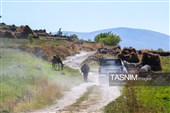 مسابقات قهرمانی کشور رالی خانوادگی  - تبریز