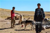 مسابقات قهرمانی کشور رالی خانوادگی  - تبریز
