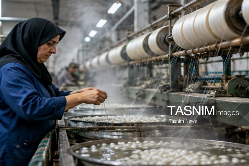 اخبار رشت , اخبار استان گیلان , نظام مسائل استان گیلان , کشاورزی ,