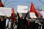 میهمانی لاله‌ها در امامزاده محمد(ع) کرج