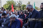 میهمانی لاله‌ها در امامزاده محمد(ع) کرج