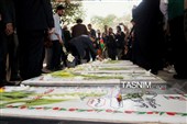 میهمانی لاله‌ها در امامزاده محمد(ع) کرج