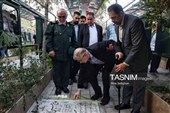 میهمانی لاله‌ها در امامزاده محمد(ع) کرج